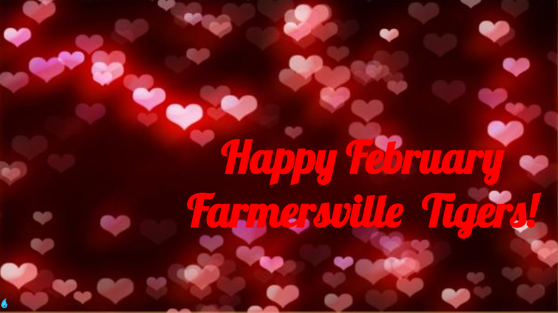 Screenshot 2026-02-09 10.20.16 AM