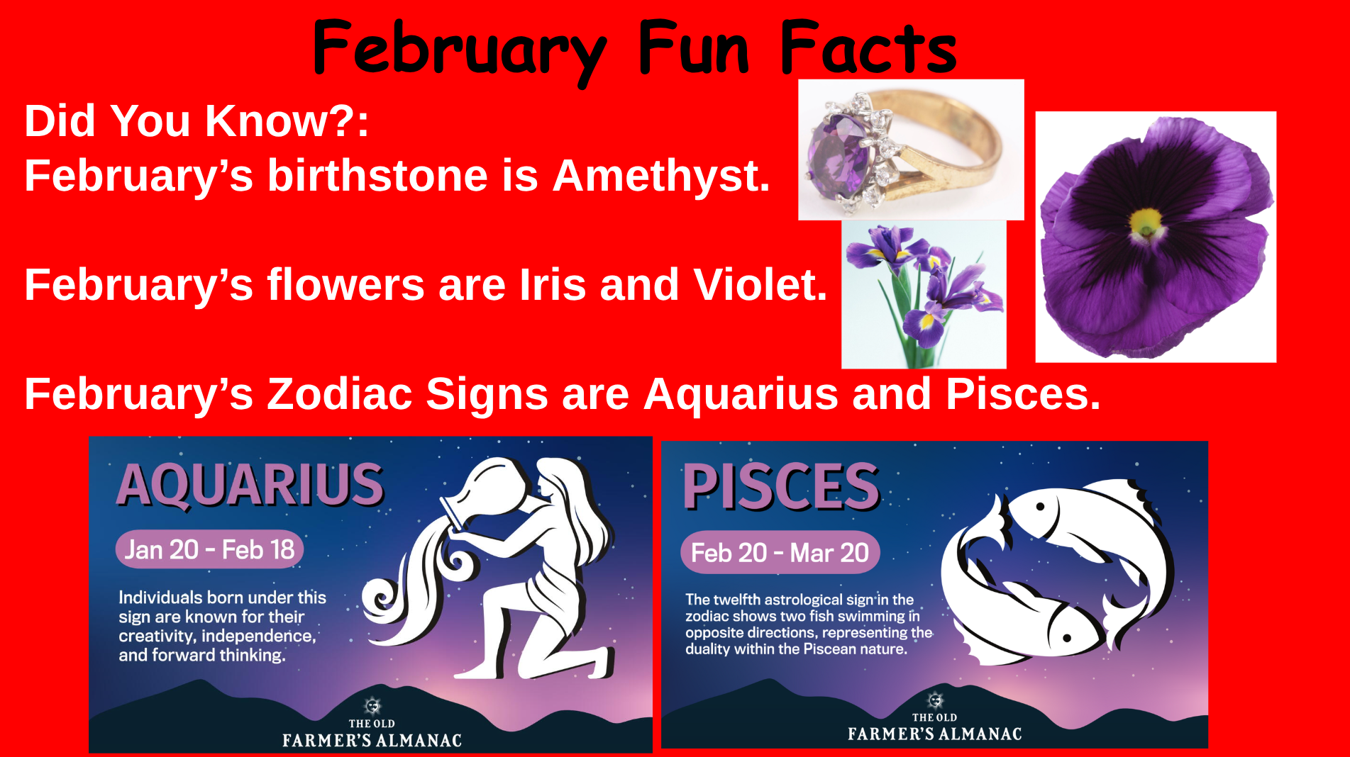 Screenshot 2026-02-09 10.20.50 AM