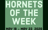 Hornets of the Week: Week 8